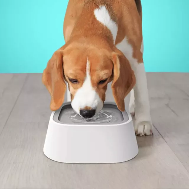 The Perfect Present for Your Furry Friends: Discover the Spill-Proof, Non-Wetting 1.5L Pet Water Bowl